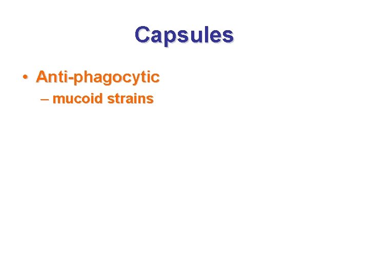 Capsules • Anti-phagocytic – mucoid strains 