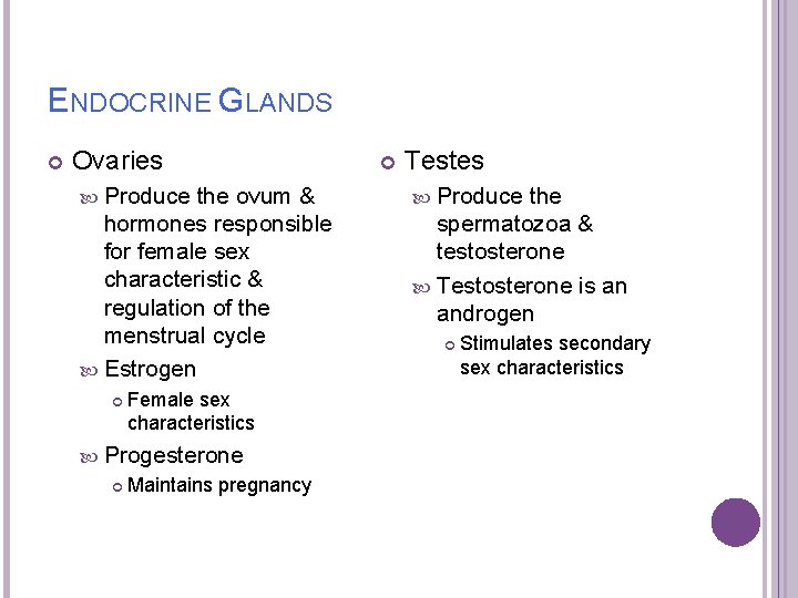 ENDOCRINE GLANDS Ovaries Produce the ovum & hormones responsible for female sex characteristic &