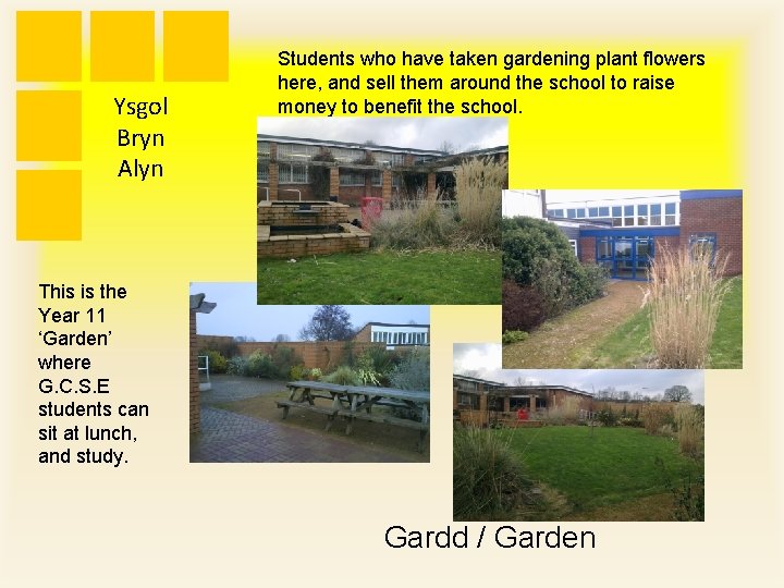Ysgol Bryn Alyn Students who have taken gardening plant flowers here, and sell them