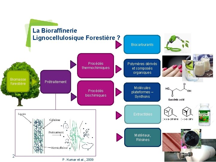 La Bioraffinerie Lignocellulosique Forestière ? Biocarburants Procédés thermochimiques Biomasse forestière Polymères dérivés et composés