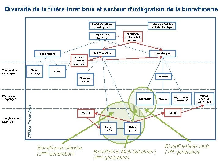Diversité de la filière forêt bois et secteur d’intégration de la bioraffinerie Autoconsommation Bois