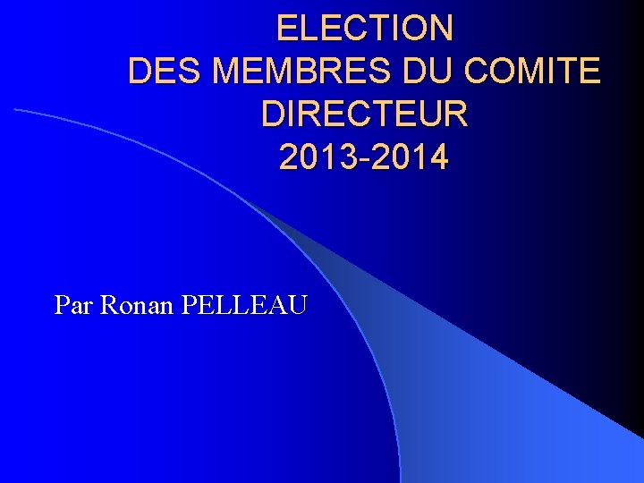 ELECTION DES MEMBRES DU COMITE DIRECTEUR 2013 -2014 Par Ronan PELLEAU 