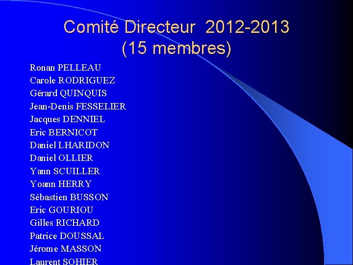 Comité Directeur 2012 -2013 (15 membres) Ronan PELLEAU Carole RODRIGUEZ Gérard QUINQUIS Jean-Denis FESSELIER