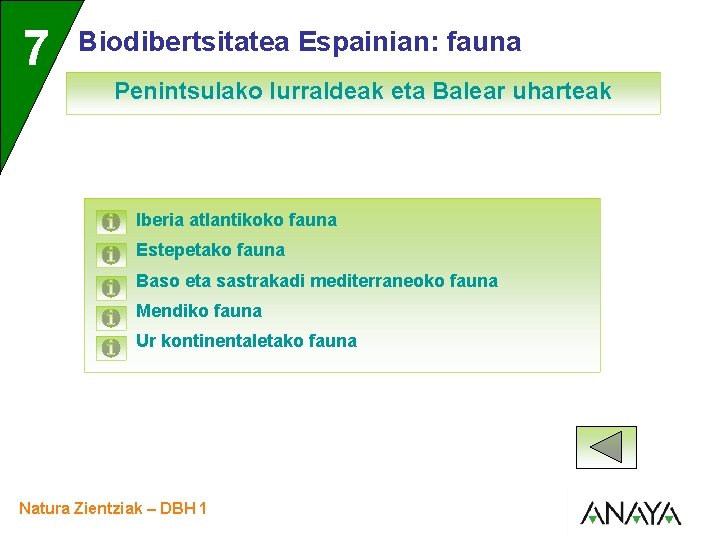 UNIDAD 7 3 Biodibertsitatea Espainian: fauna Penintsulako lurraldeak eta Balear uharteak Iberia atlantikoko fauna