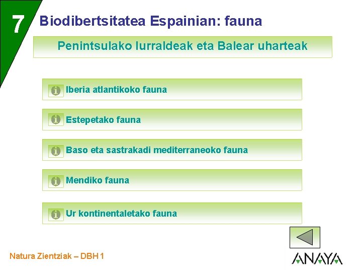 UNIDAD 7 3 Biodibertsitatea Espainian: fauna Penintsulako lurraldeak eta Balear uharteak Iberia atlantikoko fauna