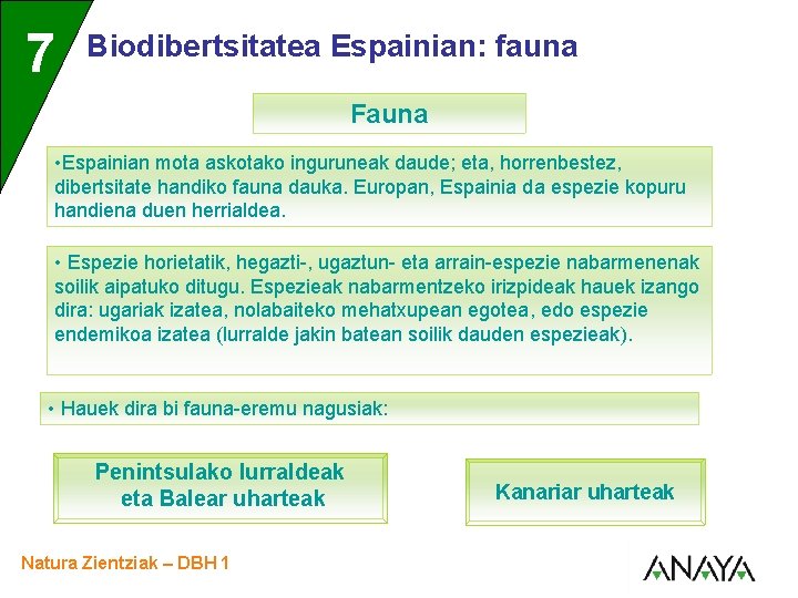 UNIDAD 7 3 Biodibertsitatea Espainian: fauna Fauna • Espainian mota askotako inguruneak daude; eta,