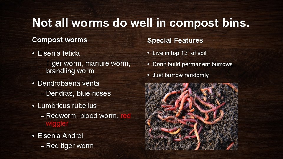 Not all worms do well in compost bins. Compost worms Special Features • Eisenia