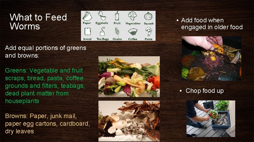 What to Feed Worms • Add food when engaged in older food Add equal