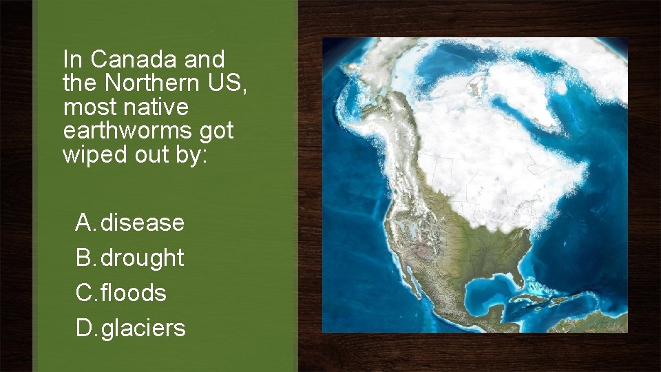 In Canada and the Northern US, most native earthworms got wiped out by: A.