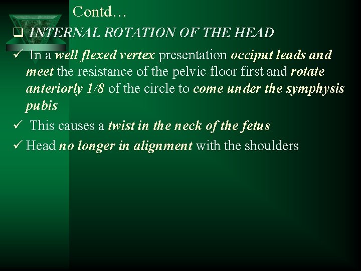 Contd… q INTERNAL ROTATION OF THE HEAD ü In a well flexed vertex presentation