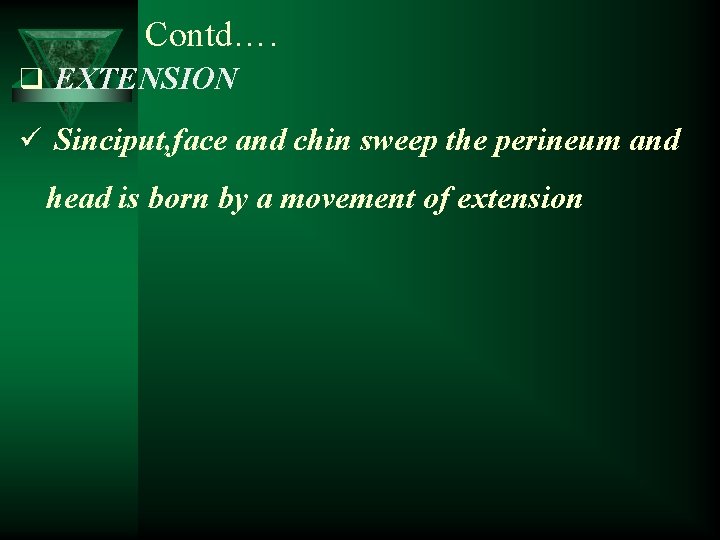 Contd…. q EXTENSION ü Sinciput, face and chin sweep the perineum and head is