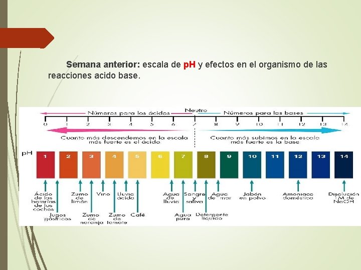 Semana anterior: escala de p. H y efectos en el organismo de las reacciones