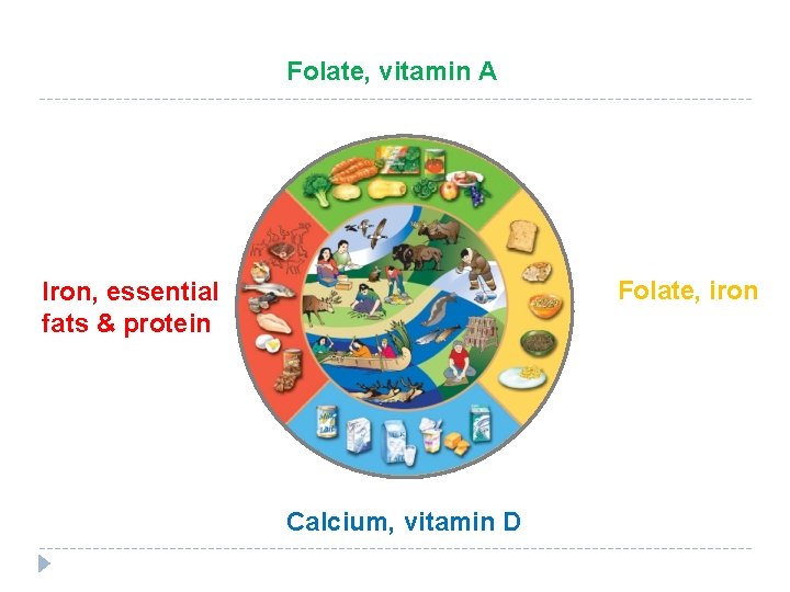 Folate, vitamin A Folate, iron Iron, essential fats & protein Calcium, vitamin D 