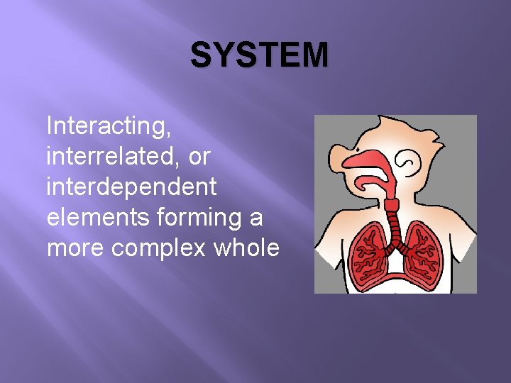 SYSTEM Interacting, interrelated, or interdependent elements forming a more complex whole 