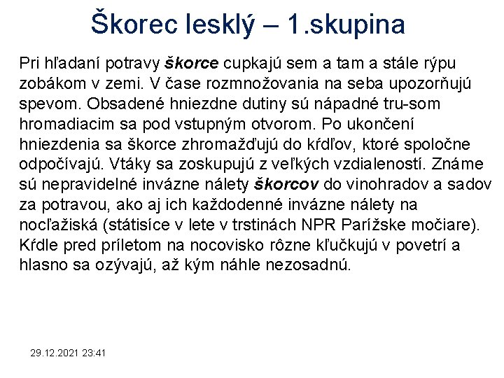 Škorec lesklý – 1. skupina Pri hľadaní potravy škorce cupkajú sem a tam a