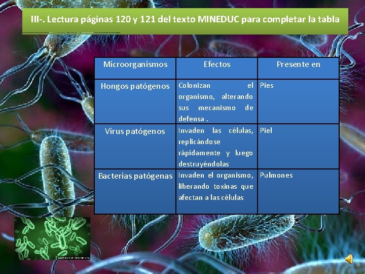 III-. Lectura páginas 120 y 121 del texto MINEDUC para completar la tabla Microorganismos