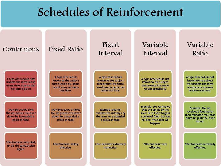 Schedules of Reinforcement Continuous Fixed Ratio Fixed Interval Variable Ratio A type of schedule