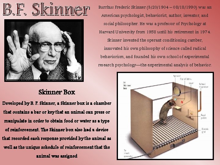 B. F. Skinner Burrhus Frederic Skinner (3/20/1904 – 08/18/1990) was an American psychologist, behaviorist,