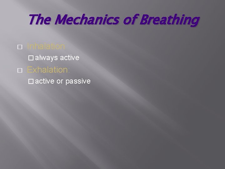 The Mechanics of Breathing � Inhalation: � always � active Exhalation: � active or