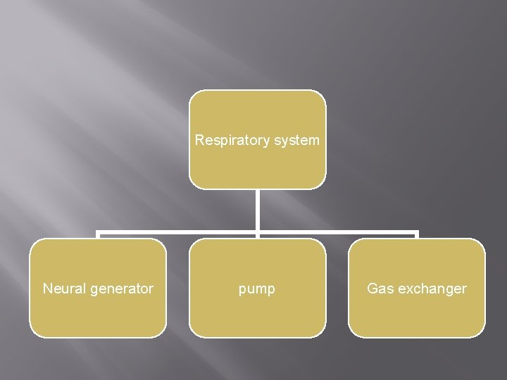 Respiratory system Neural generator pump Gas exchanger 