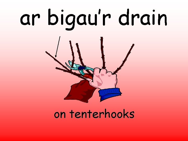 ar bigau’r drain on tenterhooks 