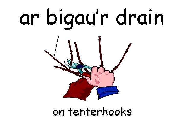 ar bigau’r drain on tenterhooks 