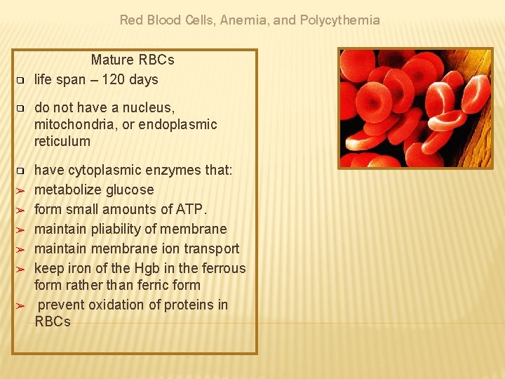 Red Blood Cells, Anemia, and Polycythemia ❑ Mature RBCs life span – 120 days