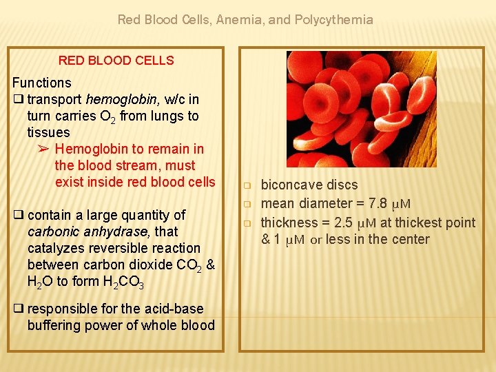 Red Blood Cells, Anemia, and Polycythemia RED BLOOD CELLS Functions ❑ transport hemoglobin, w/c