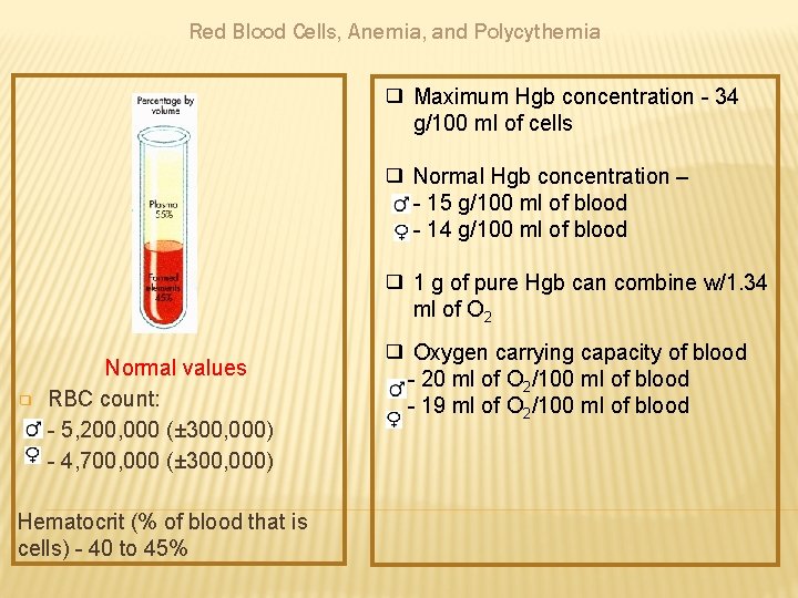 Red Blood Cells, Anemia, and Polycythemia ❑ Maximum Hgb concentration - 34 g/100 ml