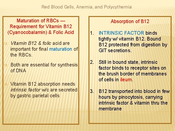Red Blood Cells, Anemia, and Polycythemia Maturation of RBCs — Requirement for Vitamin B
