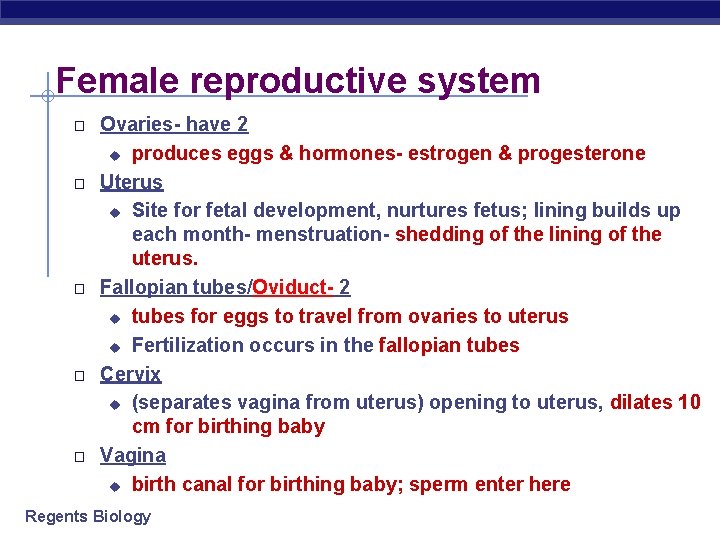Female reproductive system � � � Ovaries- have 2 u produces eggs & hormones-