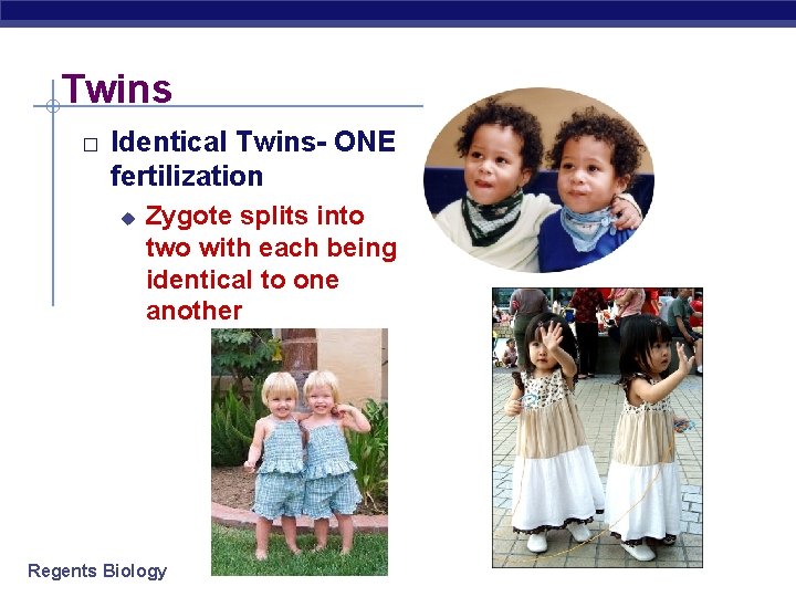 Twins � Identical Twins- ONE fertilization u Zygote splits into two with each being