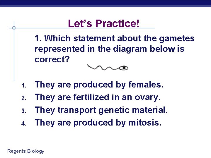 Let’s Practice! 1. Which statement about the gametes represented in the diagram below is