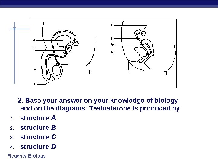 1. 2. 3. 4. 2. Base your answer on your knowledge of biology and