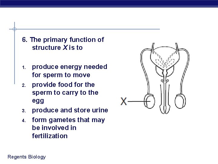 6. The primary function of structure X is to 1. 2. 3. 4. produce