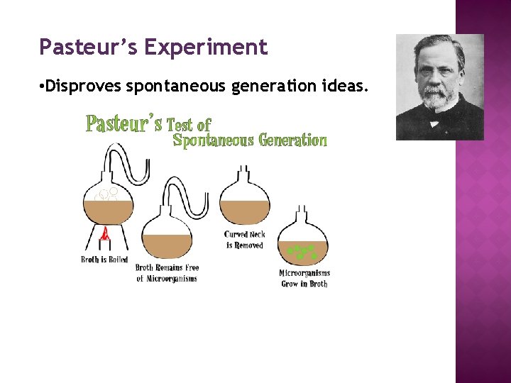 Pasteur’s Experiment • Disproves spontaneous generation ideas. 
