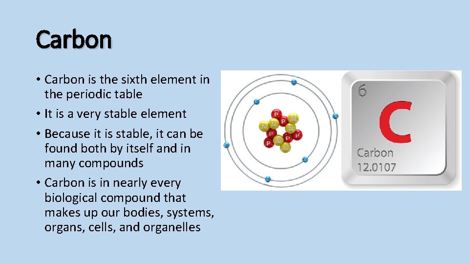 Carbon • Carbon is the sixth element in the periodic table • It is