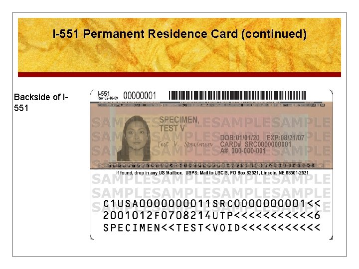 I-551 Permanent Residence Card (continued) Backside of I 551 