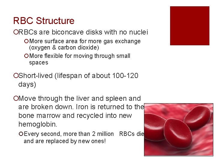 RBC Structure ¡RBCs are biconcave disks with no nuclei ¡More surface area for more