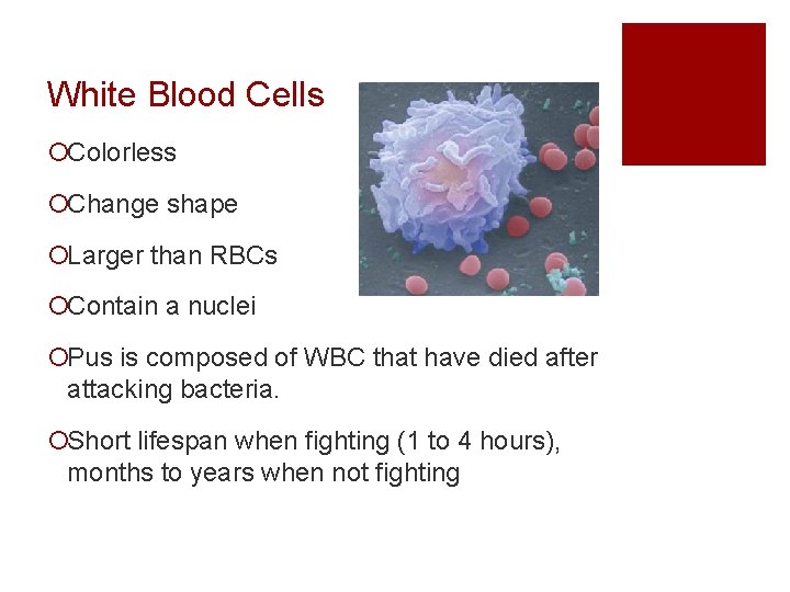 White Blood Cells ¡Colorless ¡Change shape ¡Larger than RBCs ¡Contain a nuclei ¡Pus is