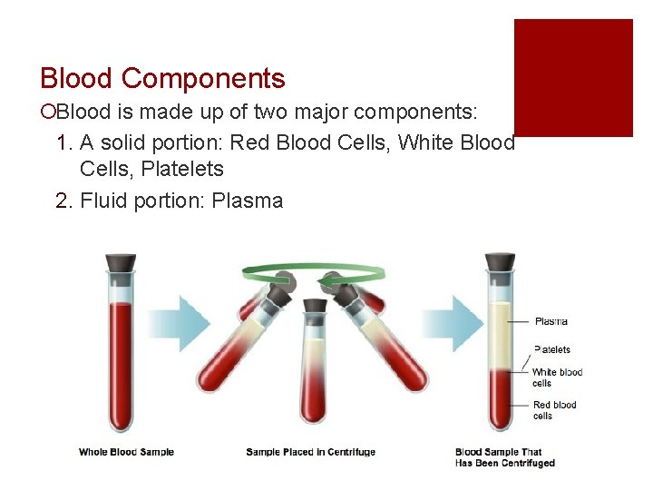 Blood Components ¡Blood is made up of two major components: 1. A solid portion: