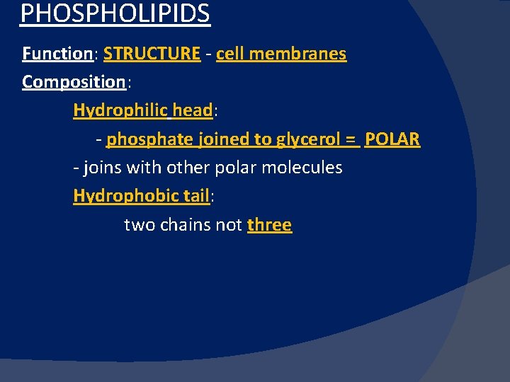 PHOSPHOLIPIDS Function: STRUCTURE - cell membranes Composition: Hydrophilic head: - phosphate joined to glycerol