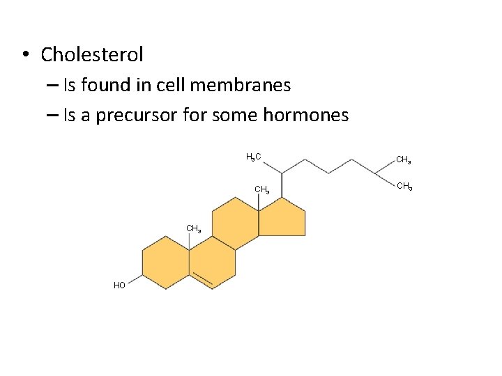  • Cholesterol – Is found in cell membranes – Is a precursor for