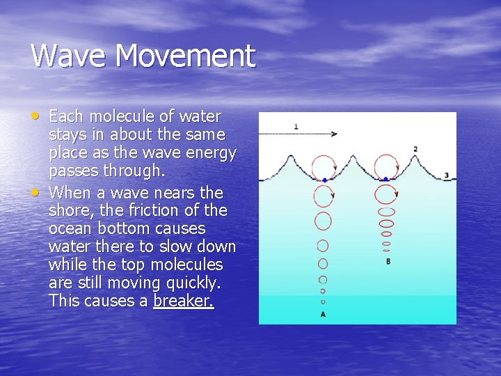 Wave Movement • Each molecule of water • stays in about the same place