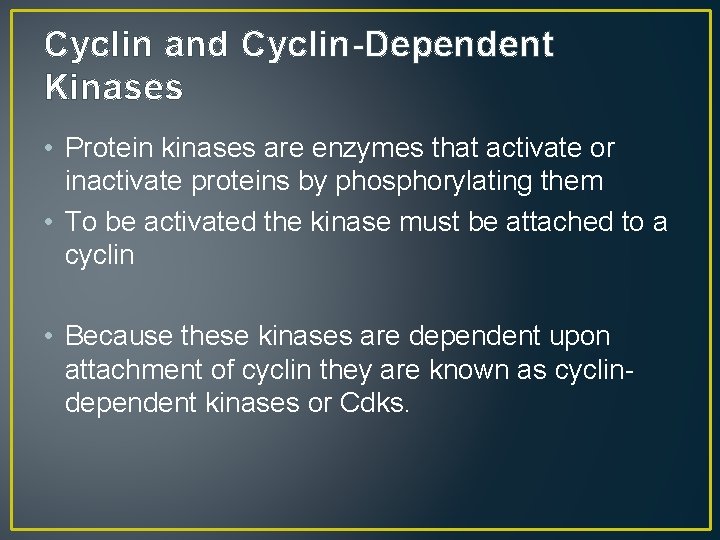 Cyclin and Cyclin-Dependent Kinases • Protein kinases are enzymes that activate or inactivate proteins