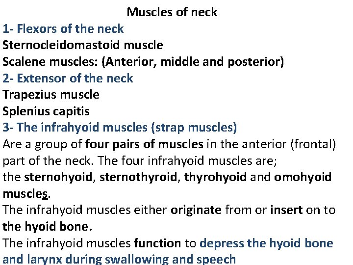 Muscles of neck 1 - Flexors of the neck Sternocleidomastoid muscle Scalene muscles: (Anterior,