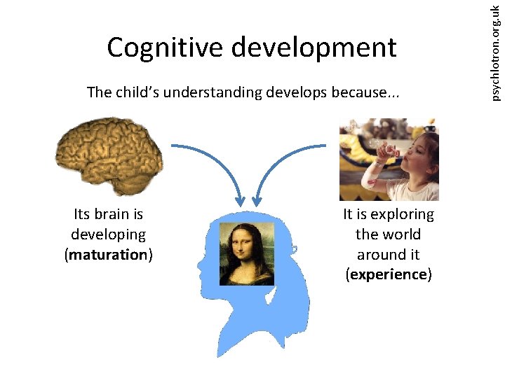 The child’s understanding develops because. . . Its brain is developing (maturation) It is