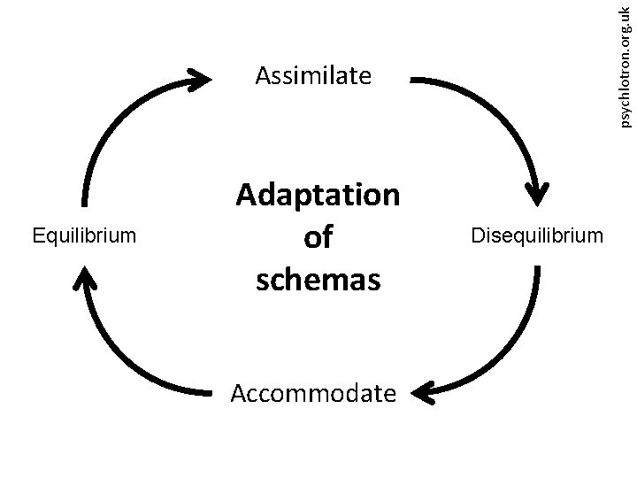 psychlotron. org. uk Assimilate Equilibrium Adaptation of schemas Accommodate Disequilibrium 