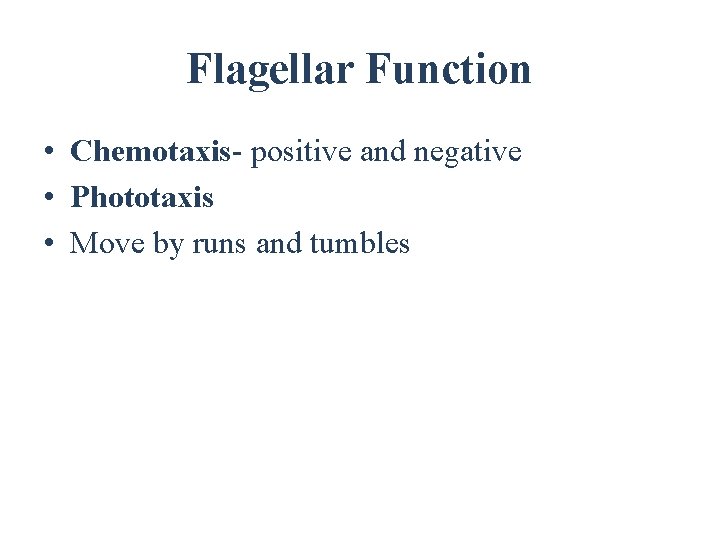 Flagellar Function • Chemotaxis- positive and negative • Phototaxis • Move by runs and