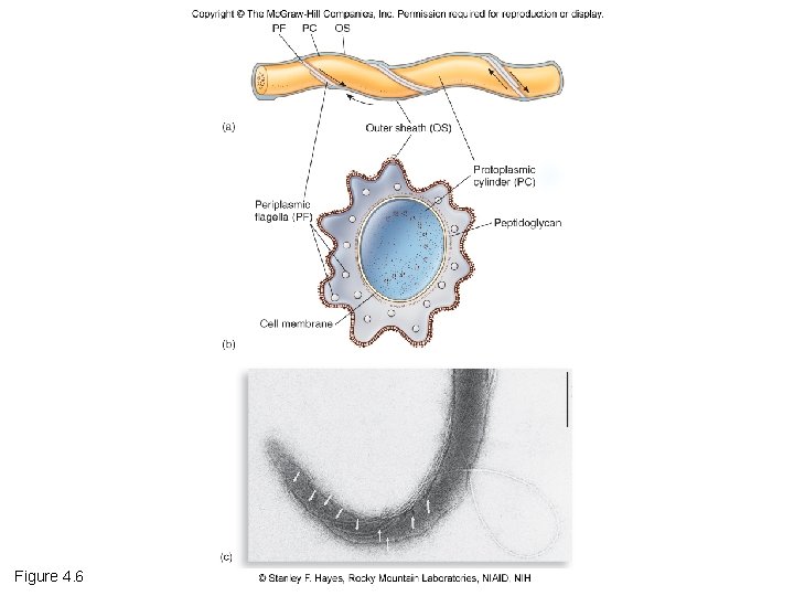 Figure 4. 6 